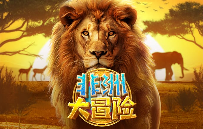 大红鹰dhy0033